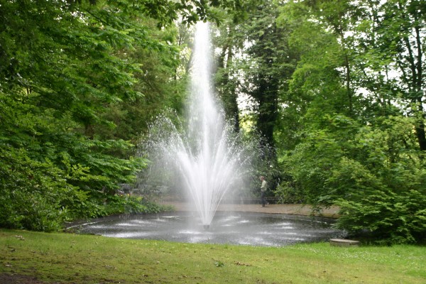 Bild1.jpg